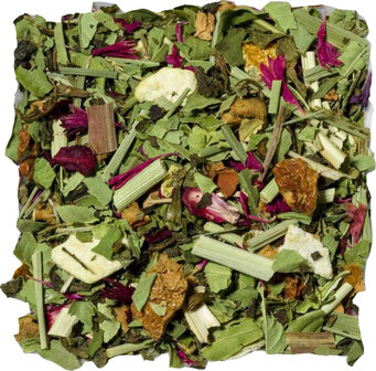 Fitte Thee &ndash; Frisse Kruidenthee met citroen